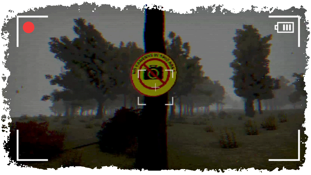 GIF Take photo transparent